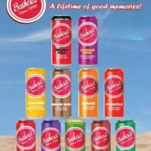 Bashews 6-pack Assorted Flavours - 300ml